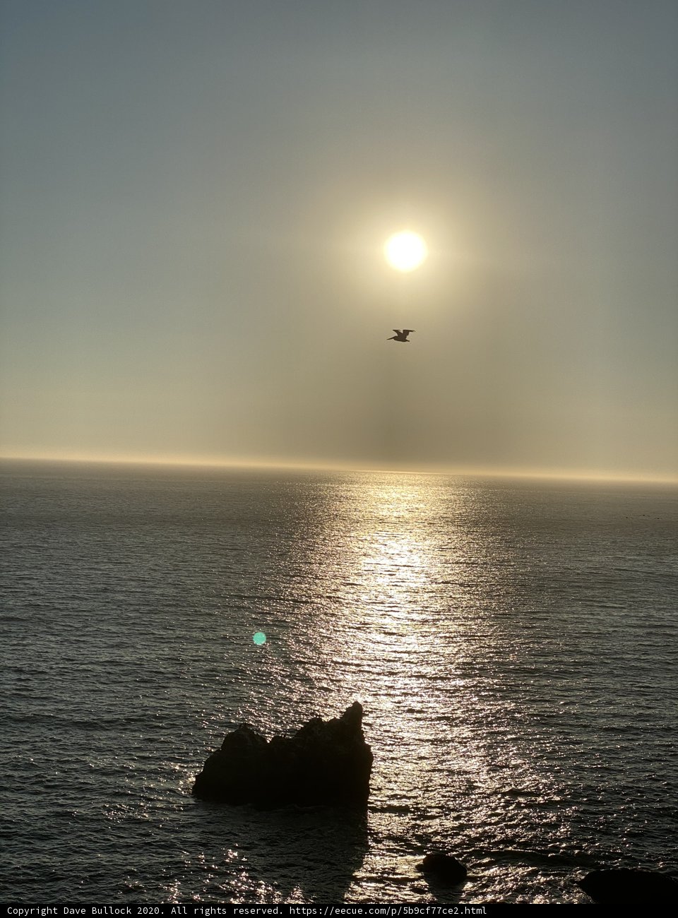 Sunset Flight over the Ocean