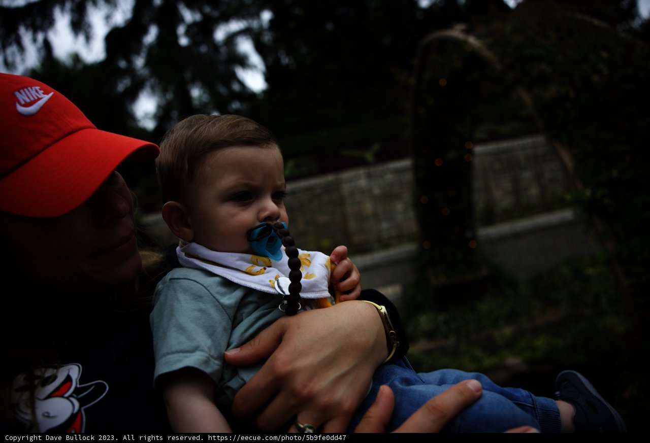 Family Moment at Disneyland