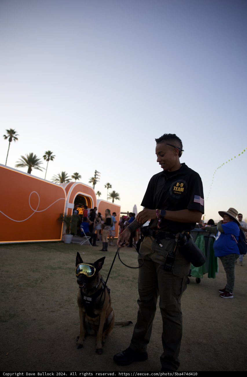 Guardians of the Festival