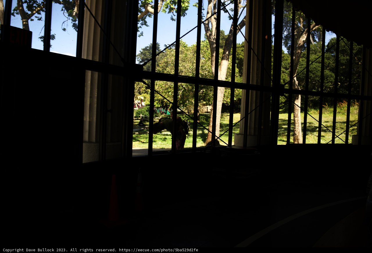 The Grand Window at Golden Gate Park Carousel, 2023