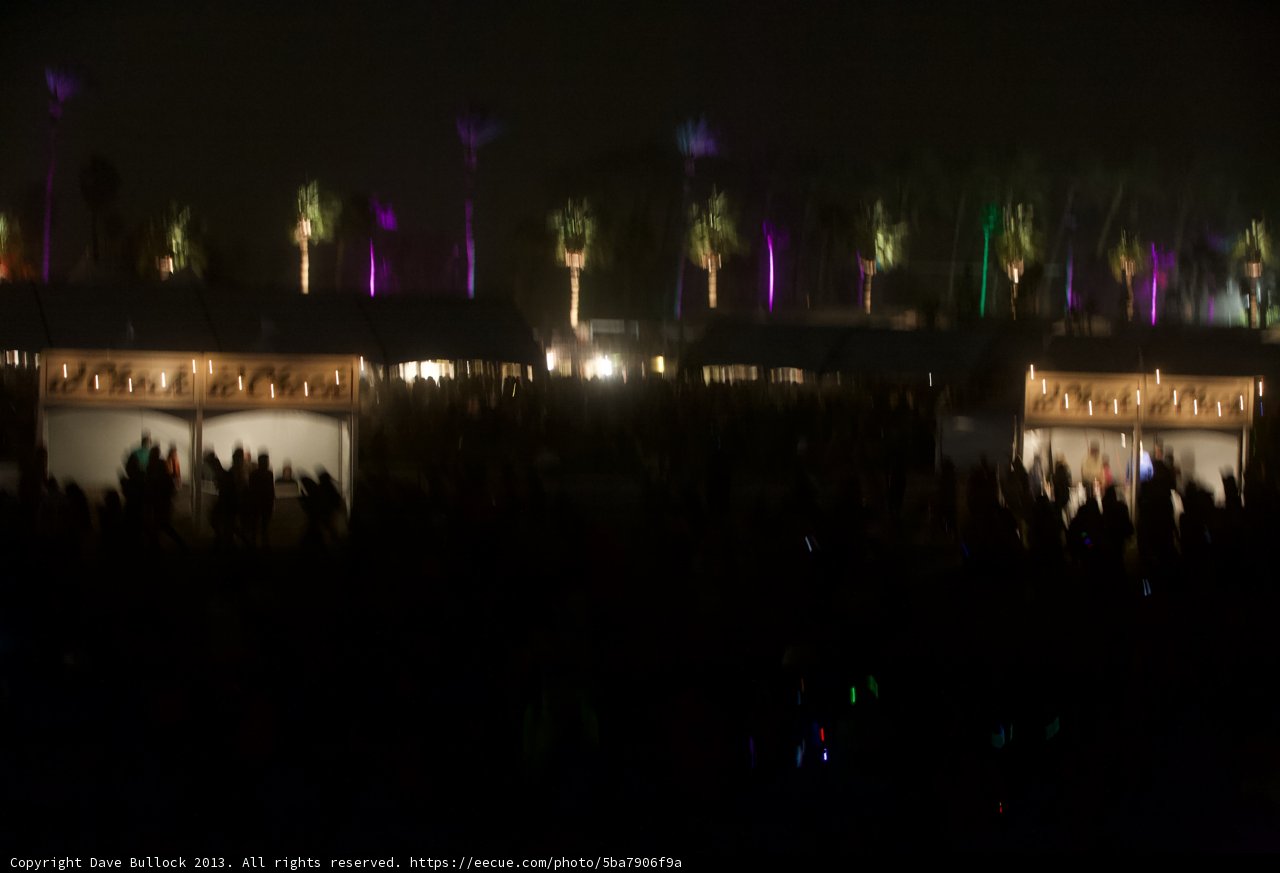 Jamming Under the Palm Trees
