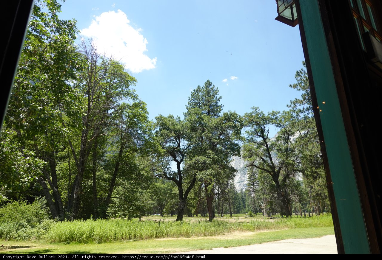 A Serene View of the Park from Inside