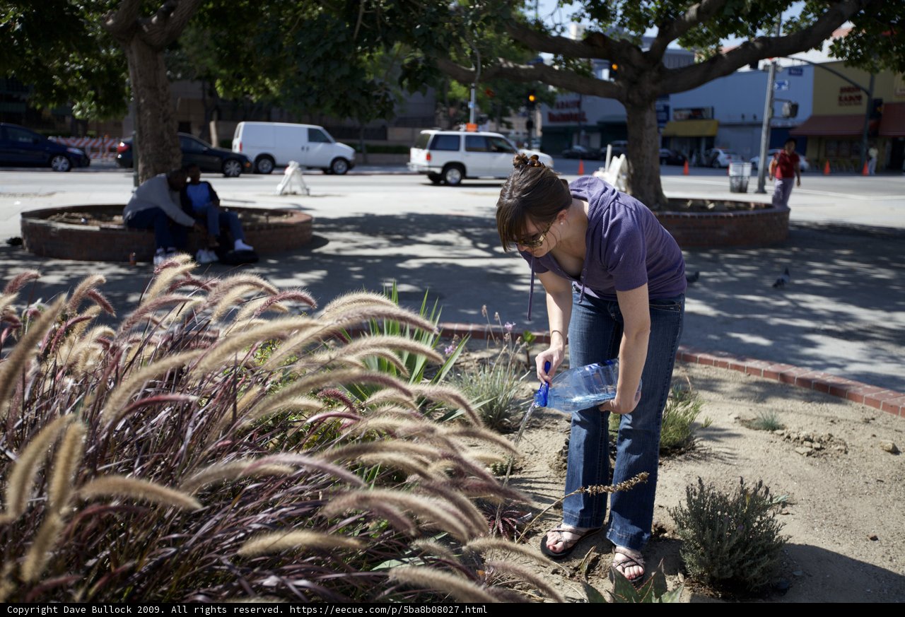 Gardening in the park