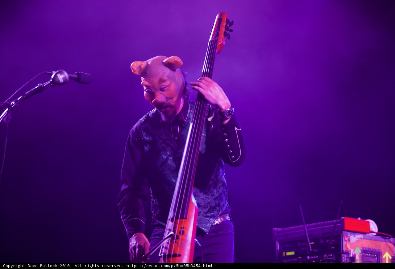 Bear Bassist Takes Over Coachella Stage