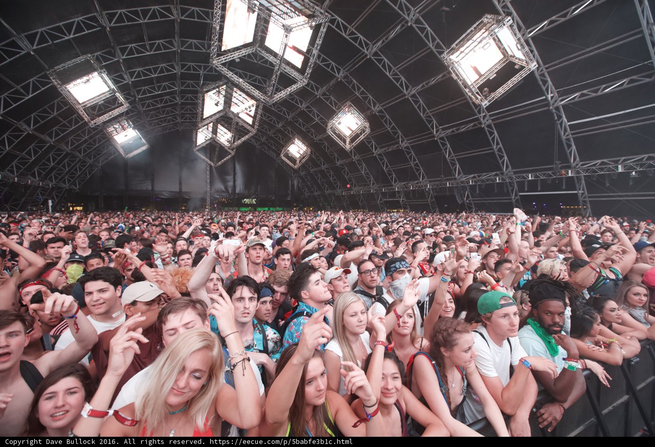 Hands Up for the Music