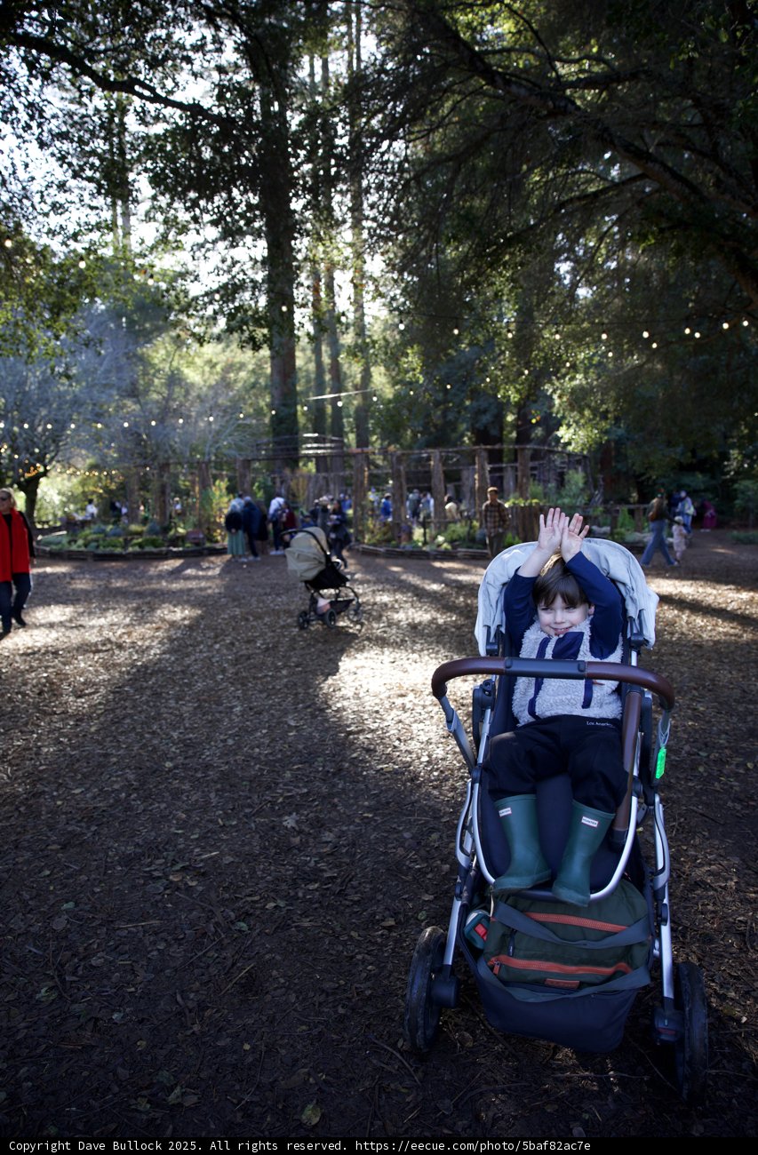 A Day in Thistlewyck Grove