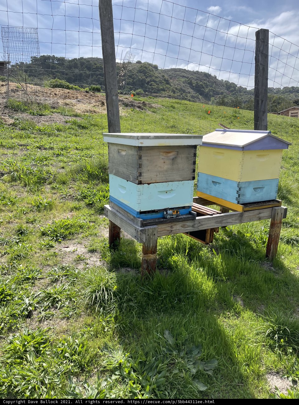 Busy Bees on the Bench