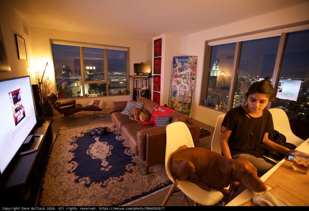 Relaxing in the Living Room
