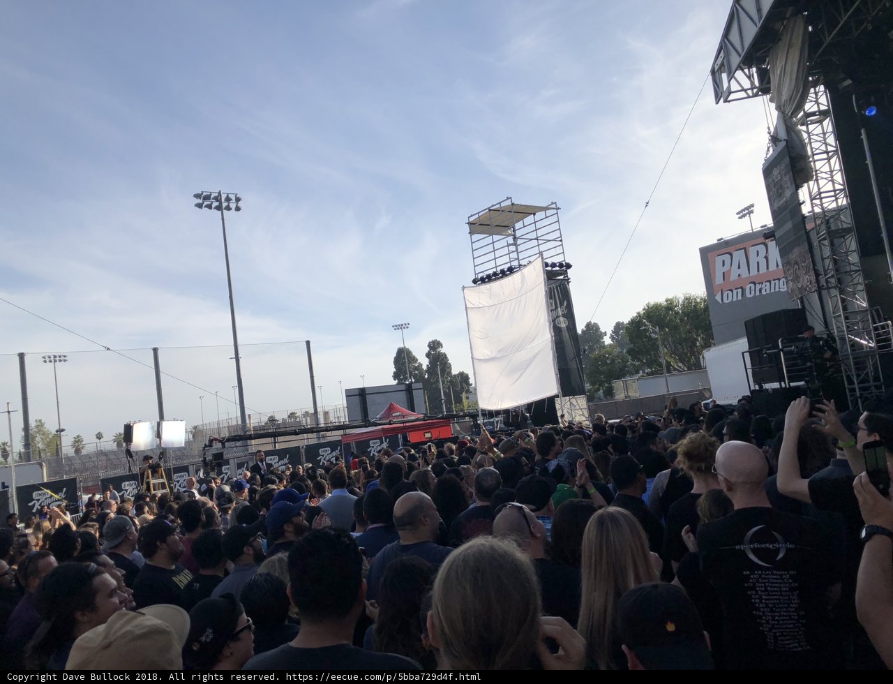 Rockin' with the Crowd