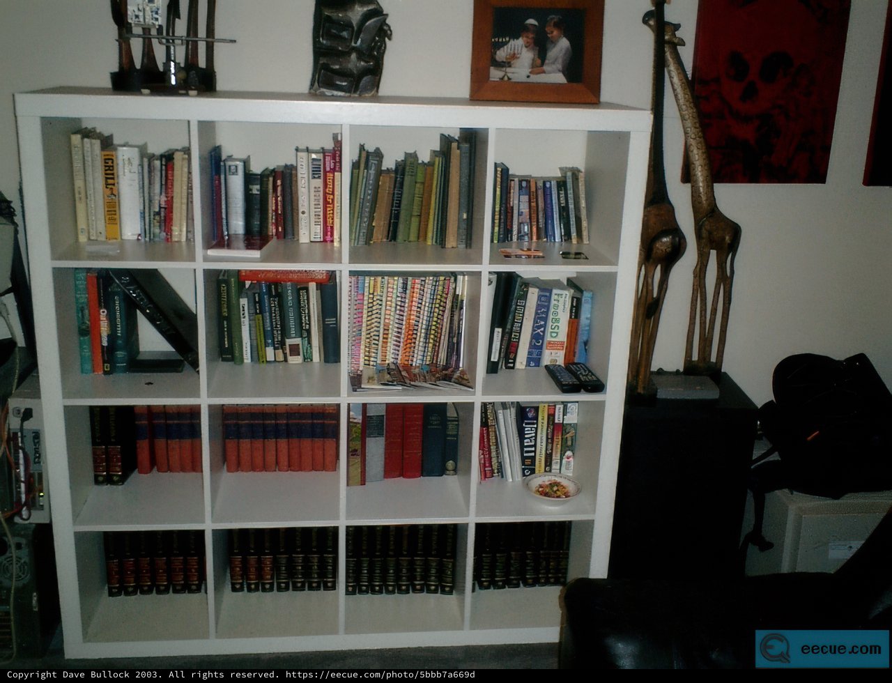 Giraffe on the Bookshelf