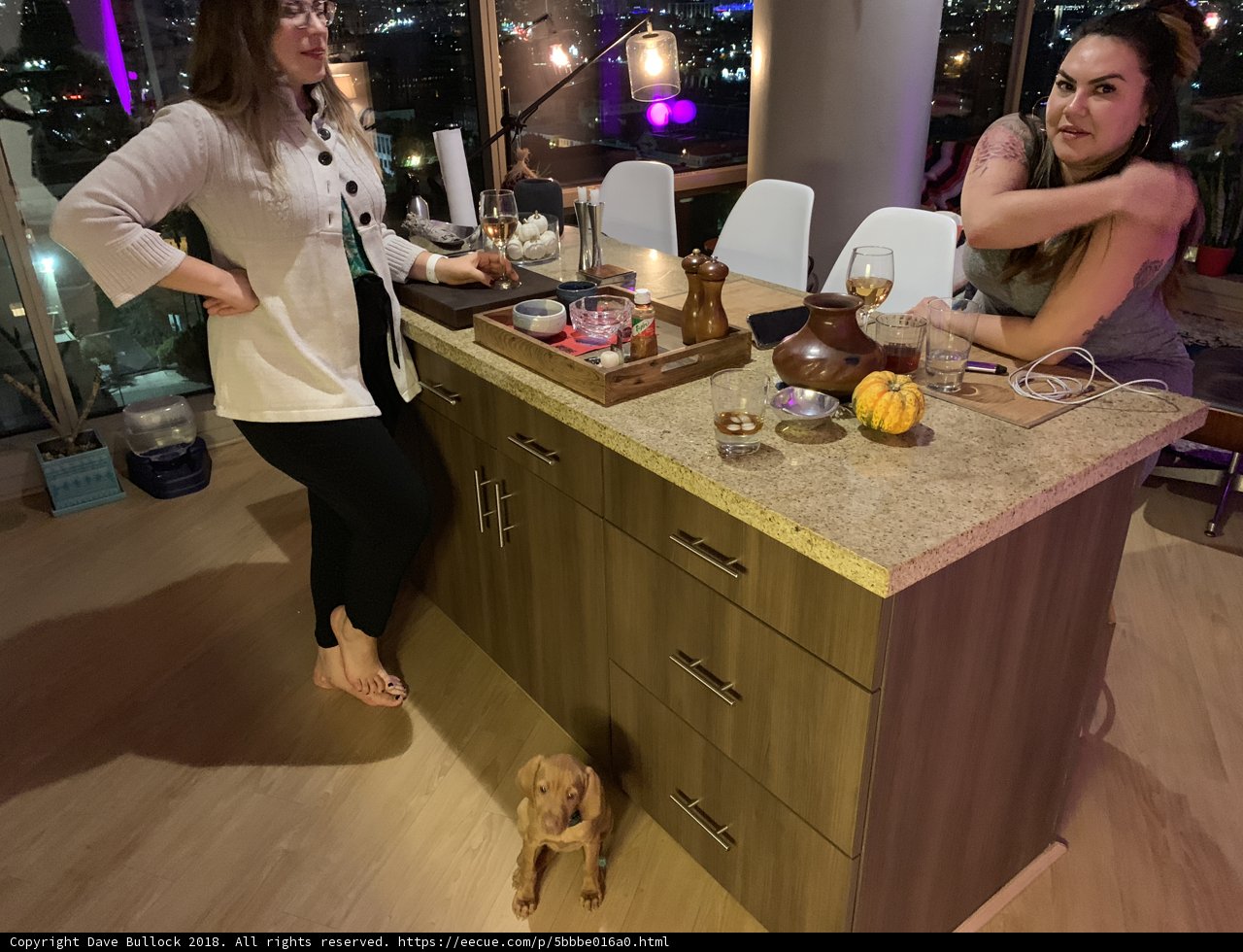 Kitchen Gathering with Furry Friends