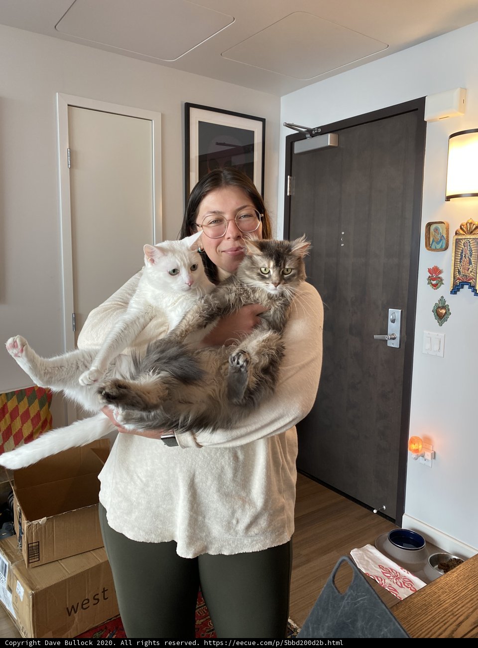 Woman with Two Cats in Living Room