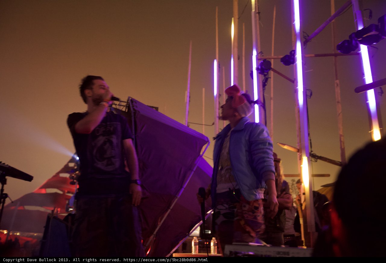Nighttime Concertgoers