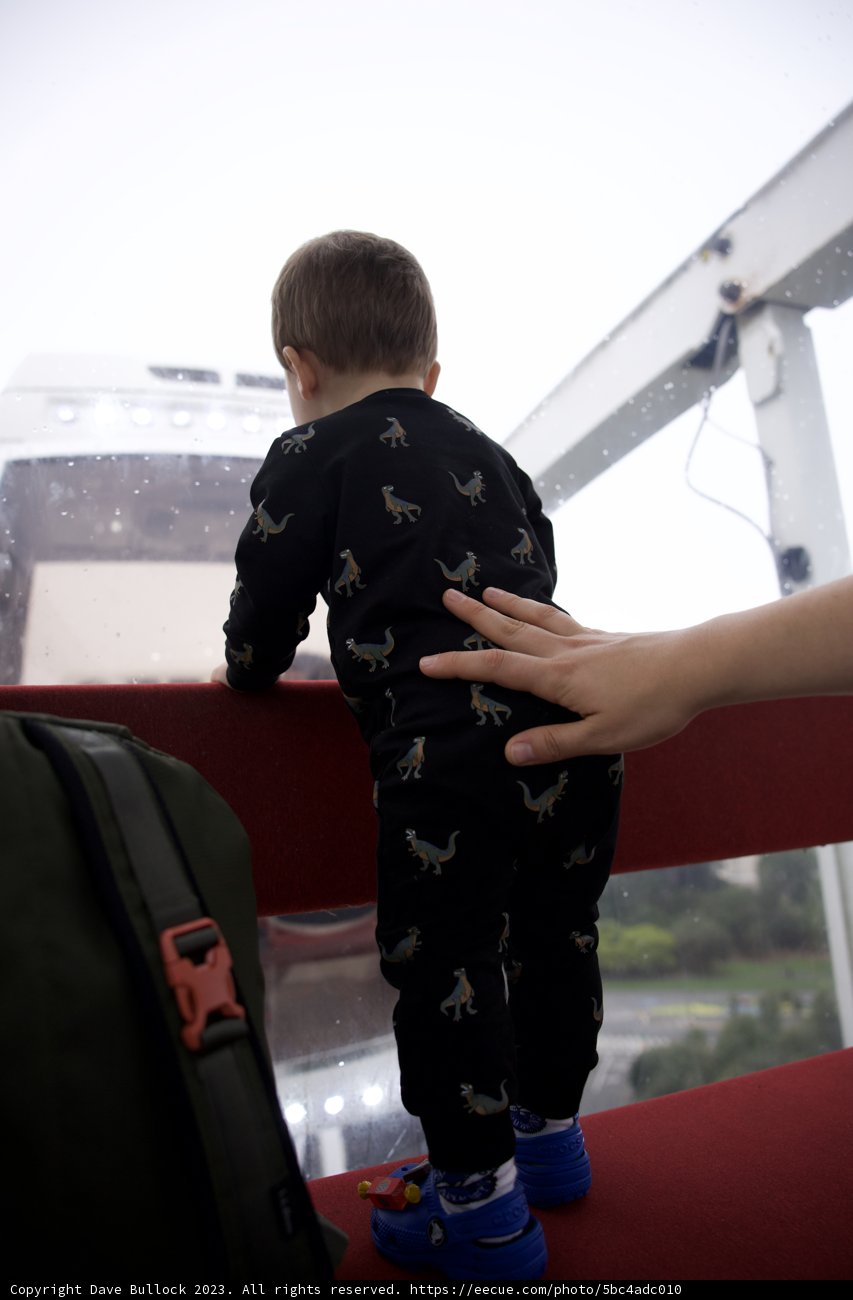 Fearless Wesley at Golden Gate Park, 2023