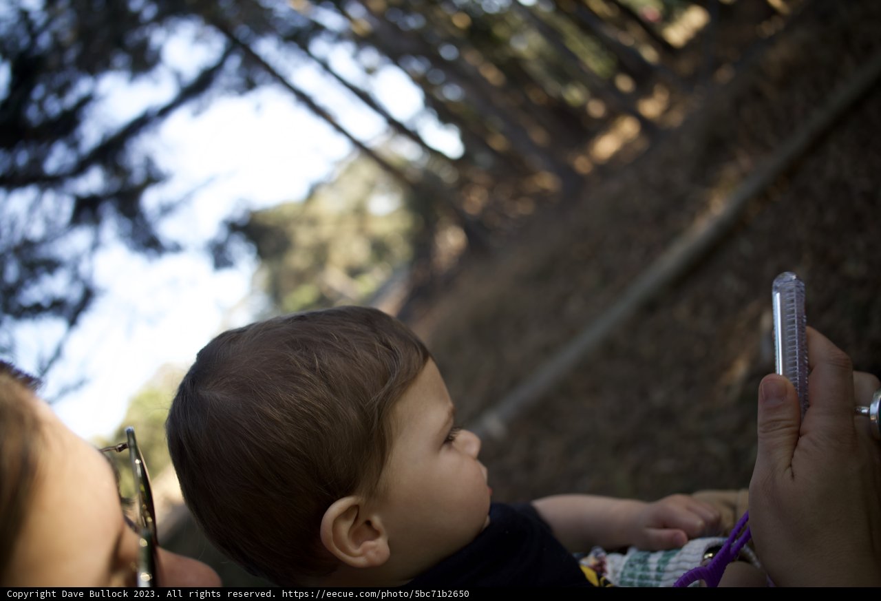 Precious Moments at the SF Zoo.