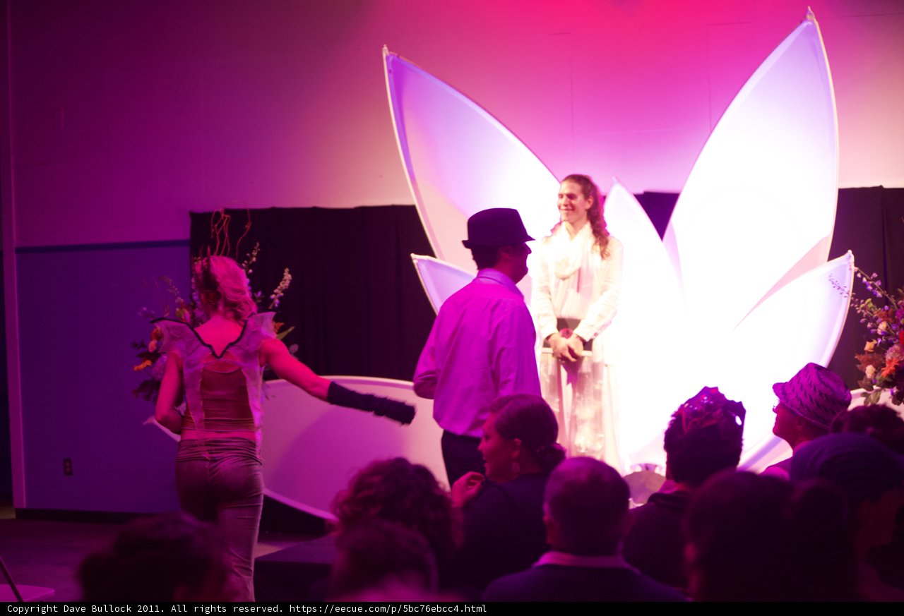 Wedding Stage Spotlight