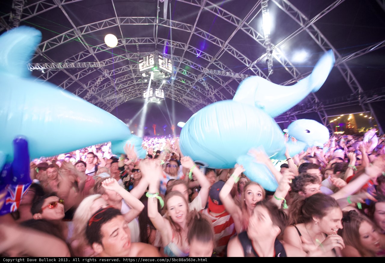 Dolphin Invasion at Coachella