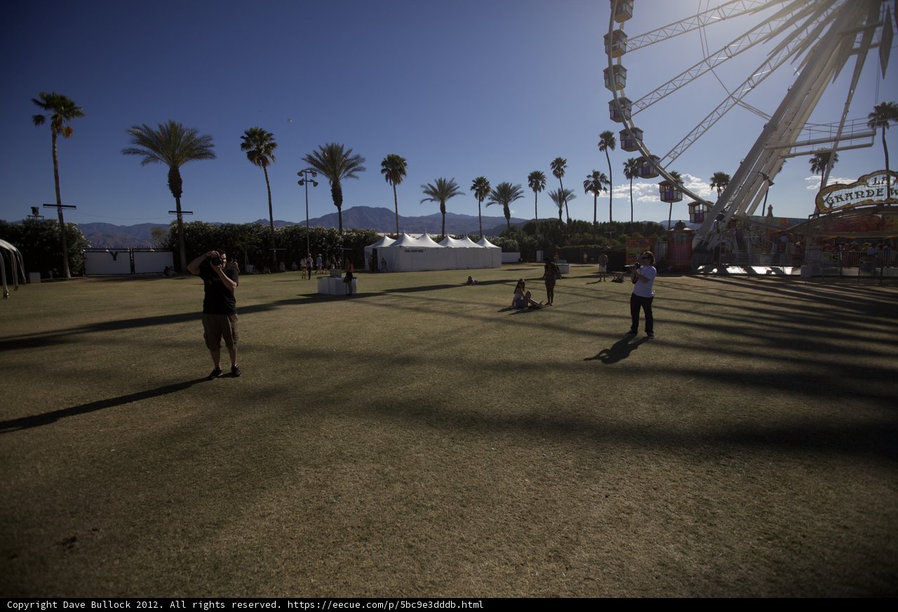 Ferris Wheel Fun at Coachella