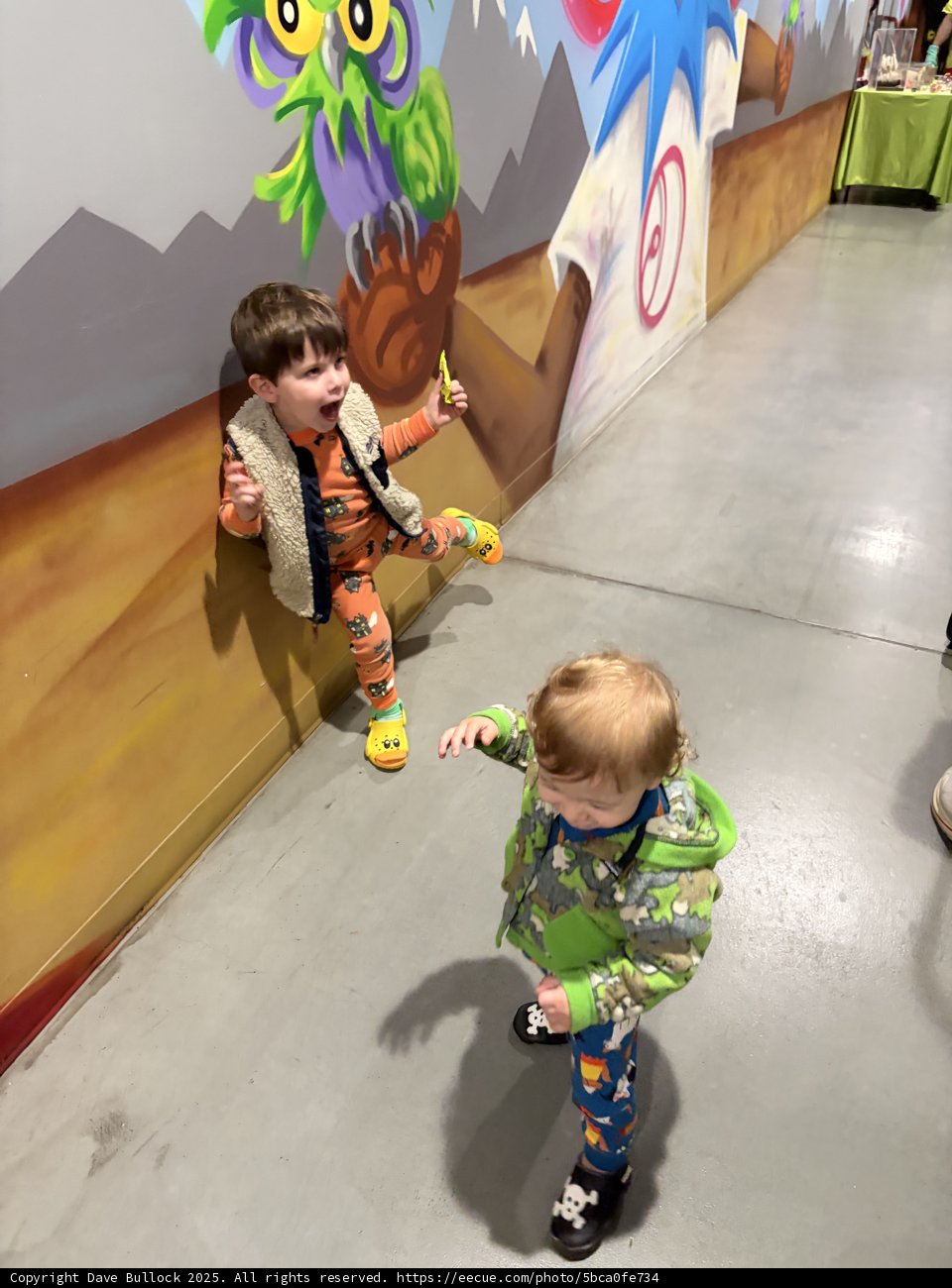Colorful Adventures at the Wildlife Exhibit