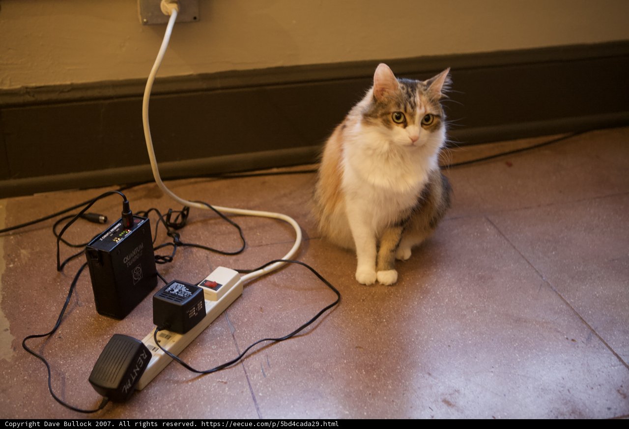 Cat and Cord Conundrum