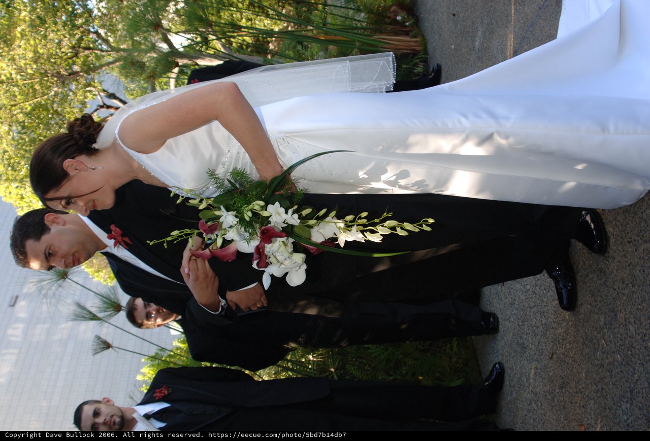 Bride and Groom Exchange Rings at Outdoor Ceremony