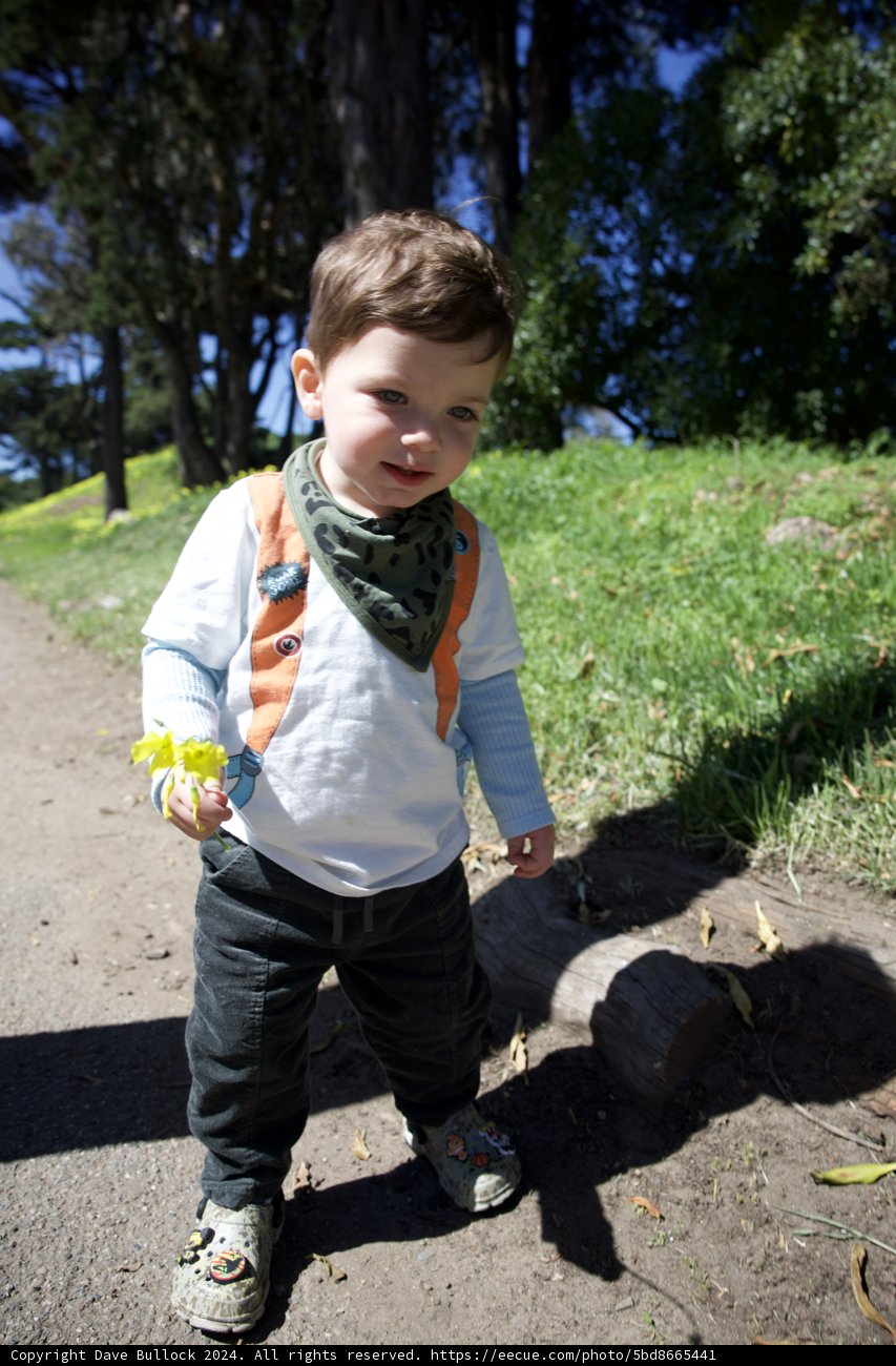 Golden Innocence in Golden Gate Park