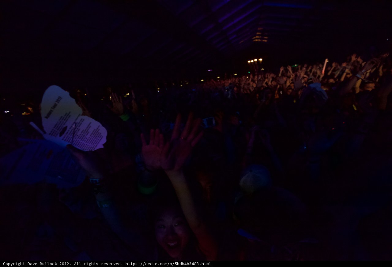 Hands Up at Coachella