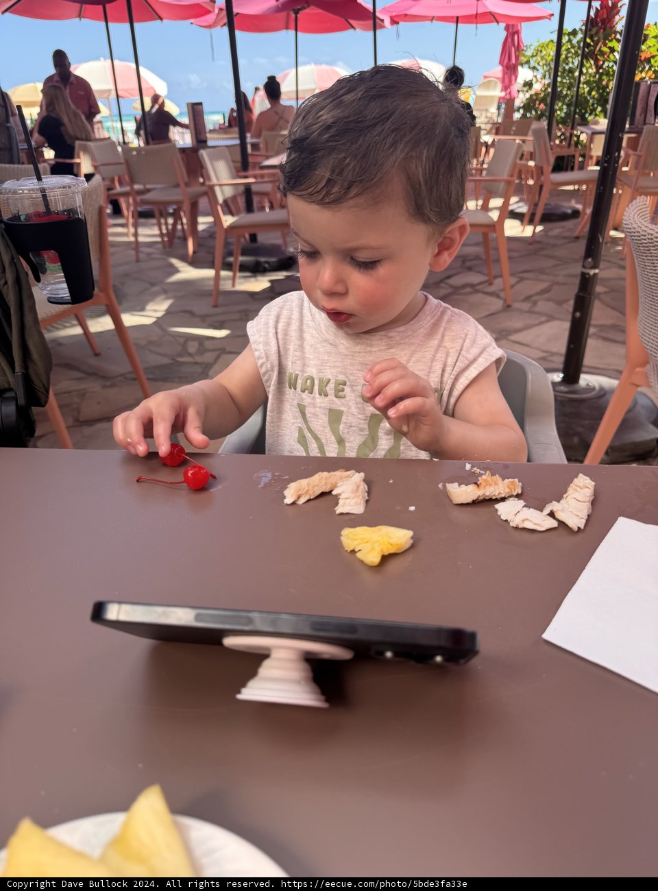Little Gourmet at Waikiki