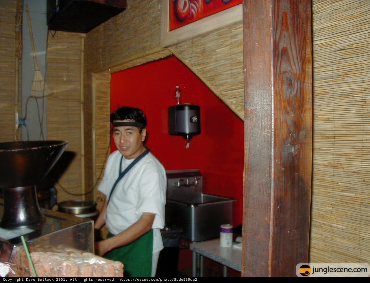 Mastering the Art of Cooking