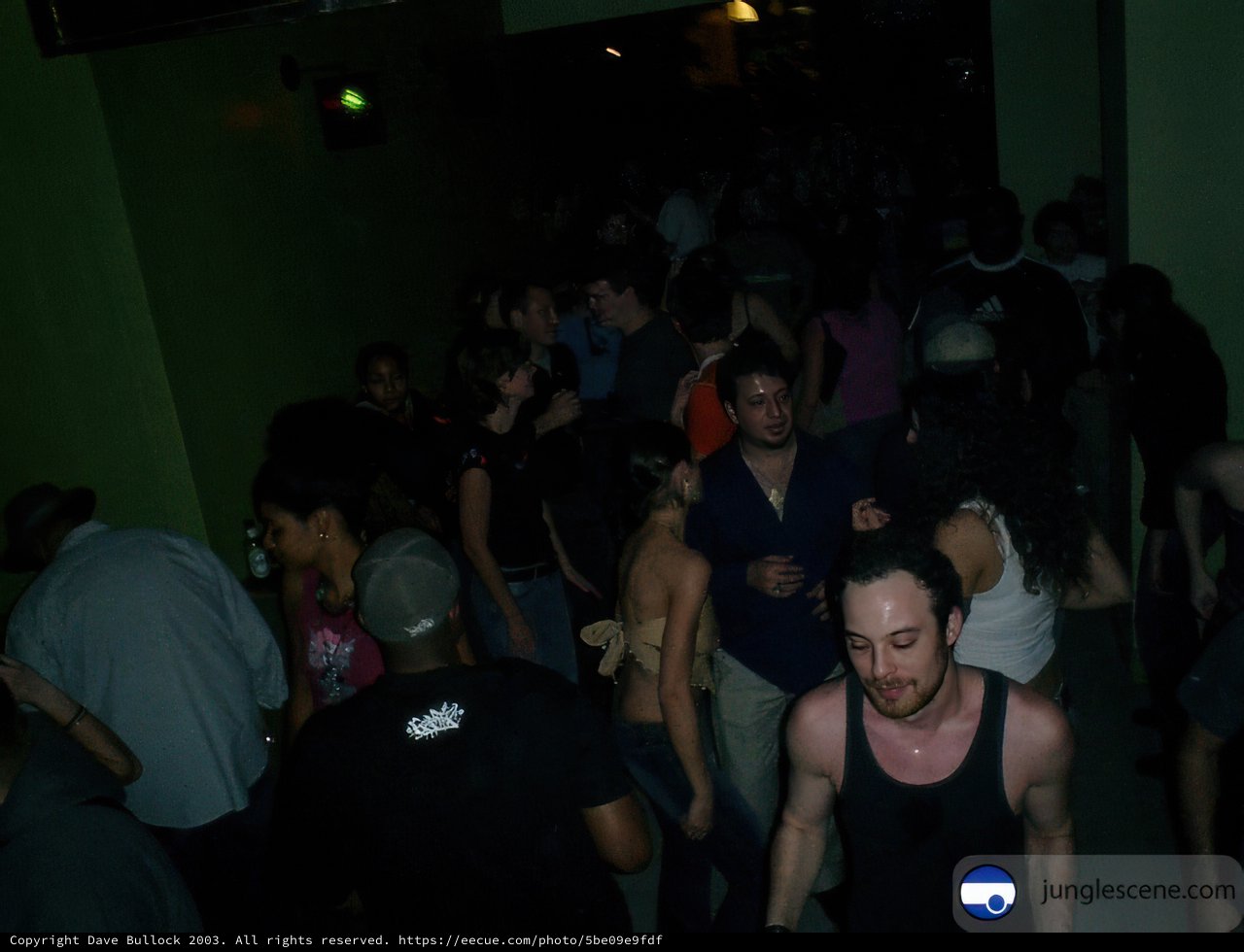 Nightclub Vibes