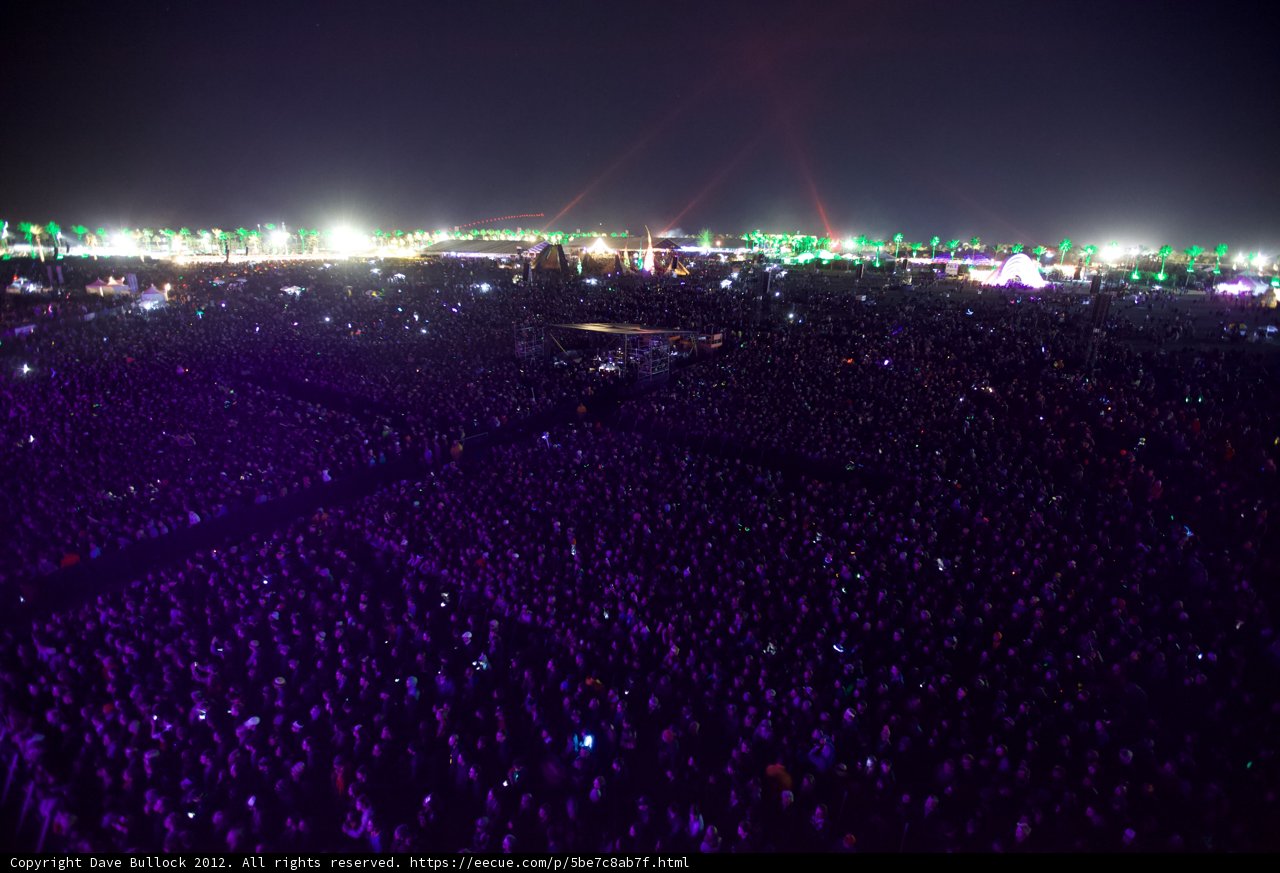Purple Haze at Coachella