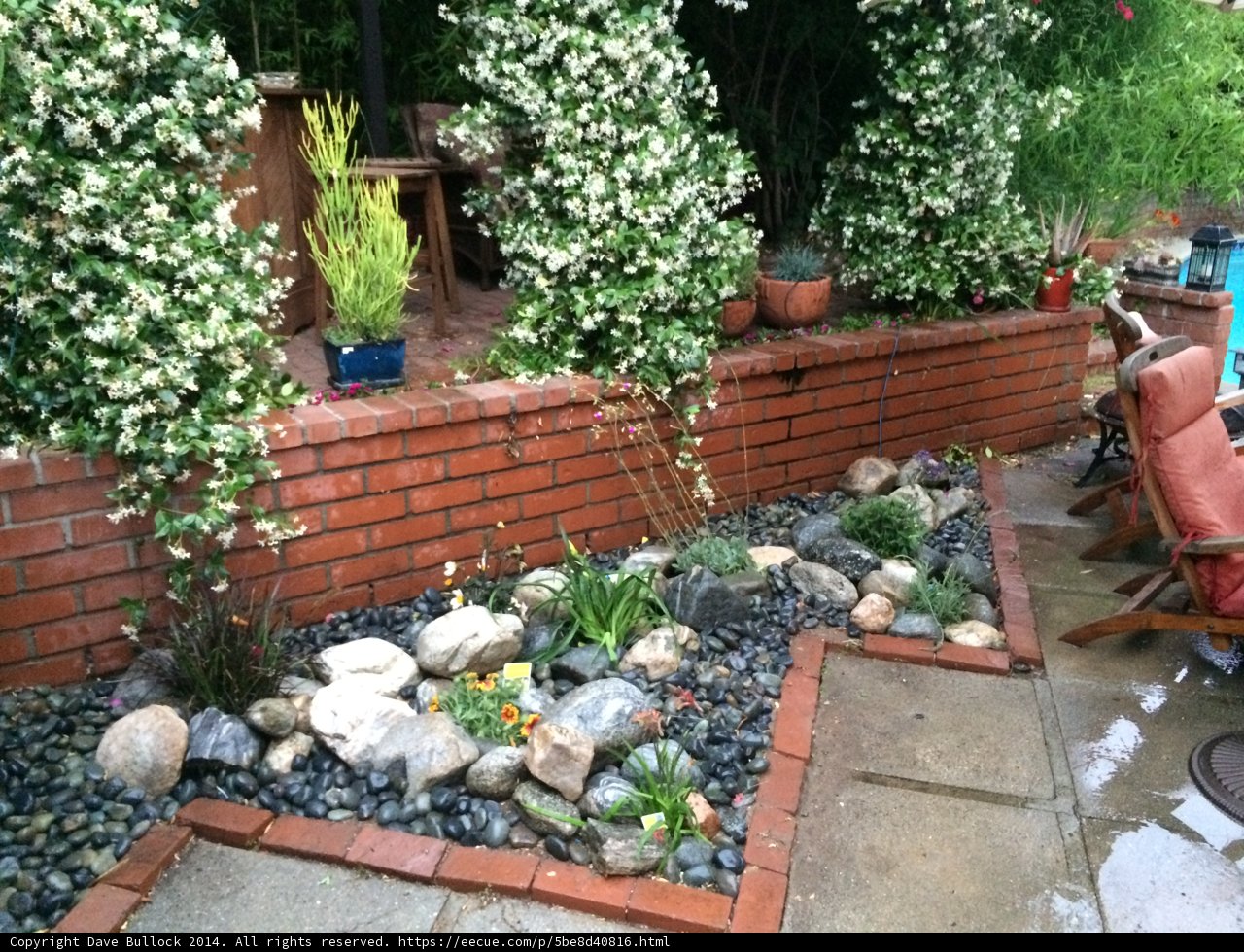 Backyard Oasis with Decorative Plants and Rocks