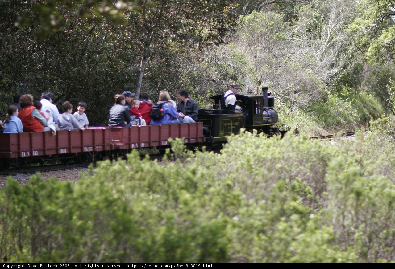 The Steam Engine Through the Woodland