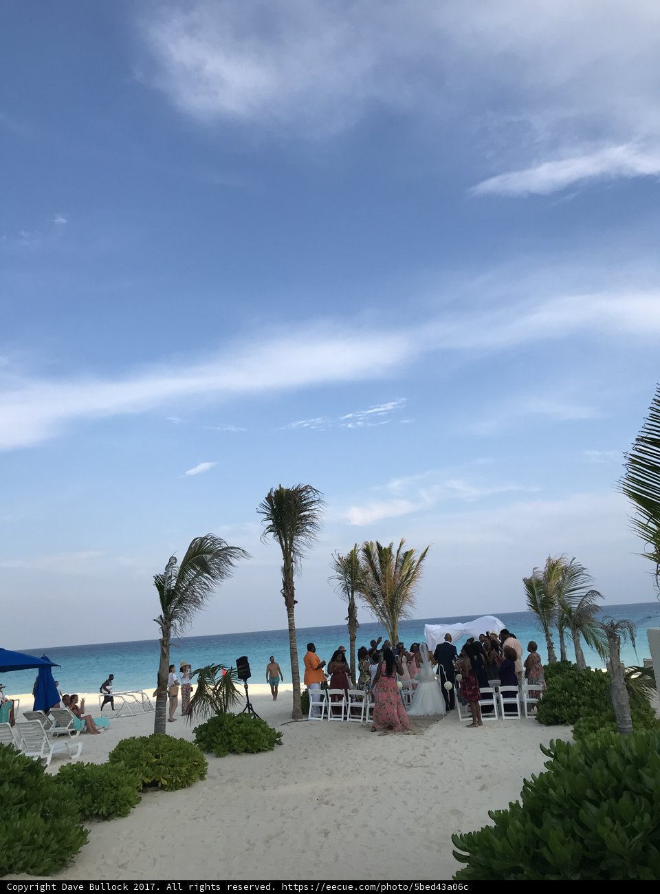 Tropical Paradise