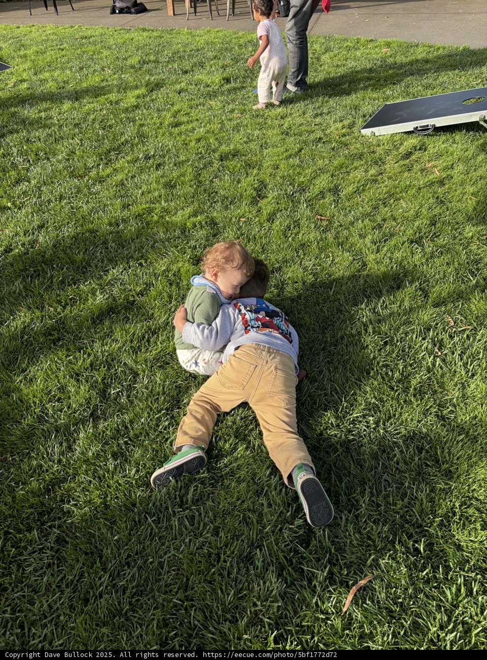Afternoon Playtime at the Park