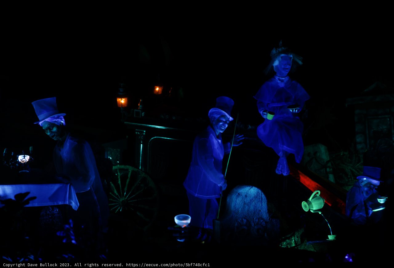 Halloween Extravaganza at Disneyland's Magic Kingdom
