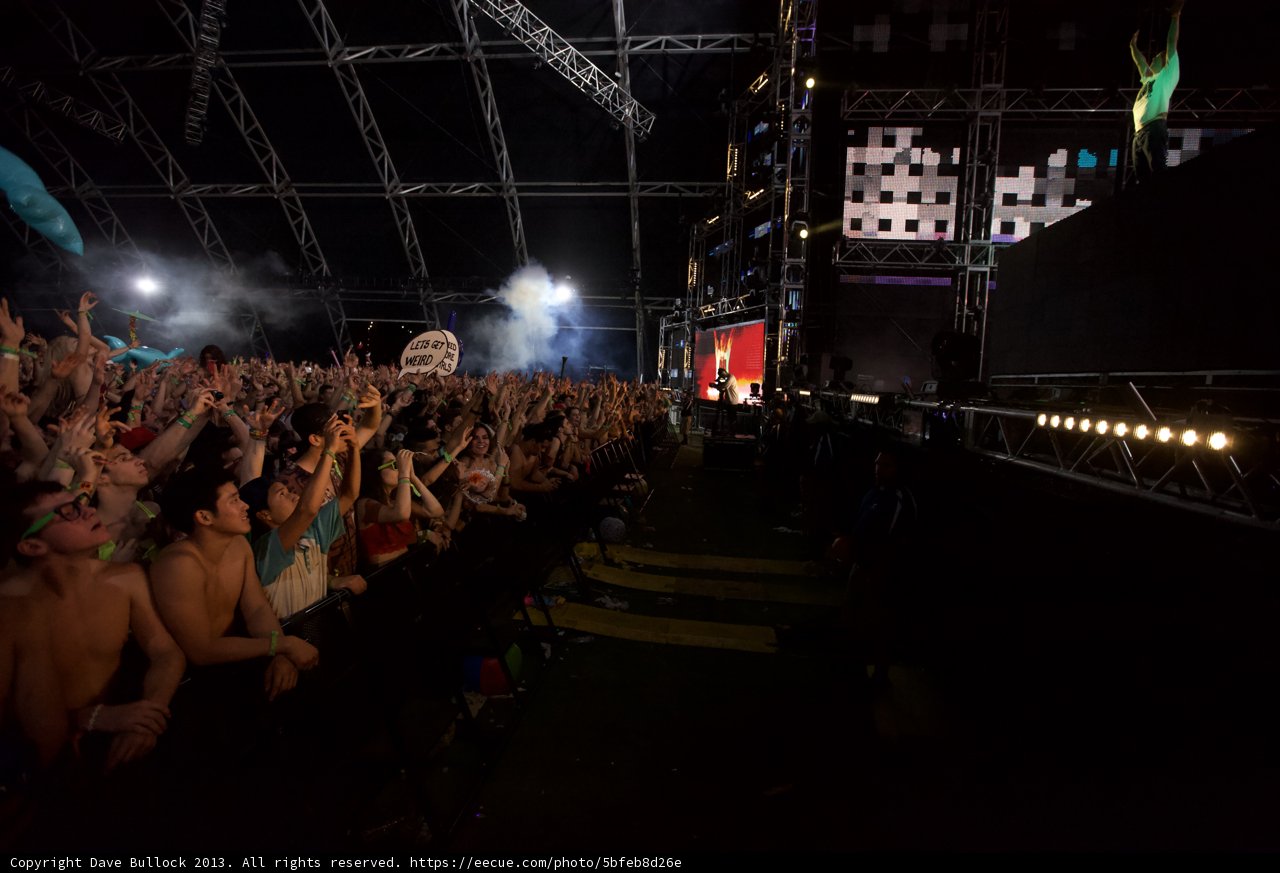 Coachella Crowd Goes Wild
