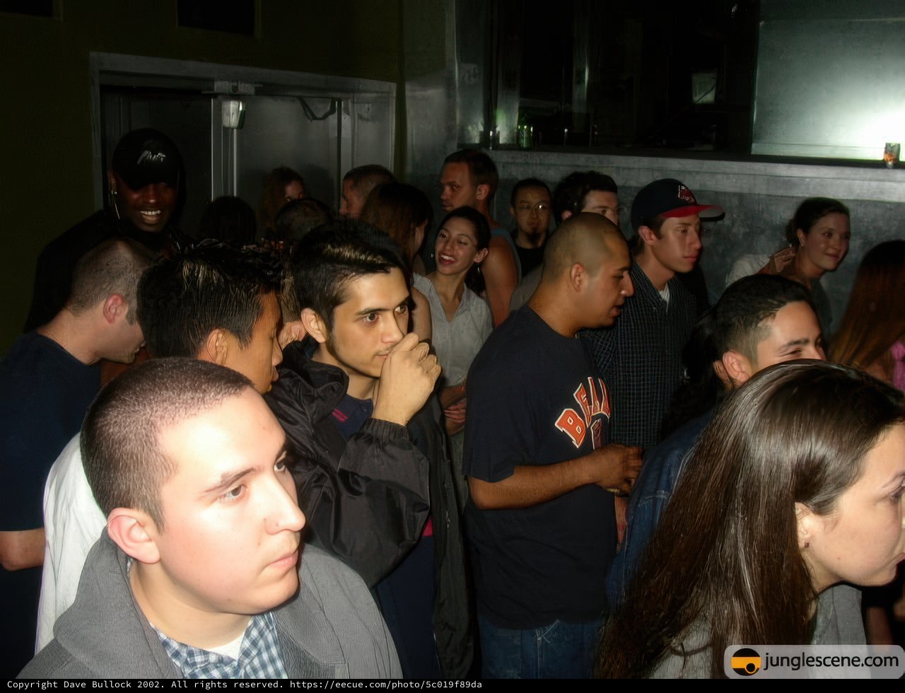 Nightclub Gathering