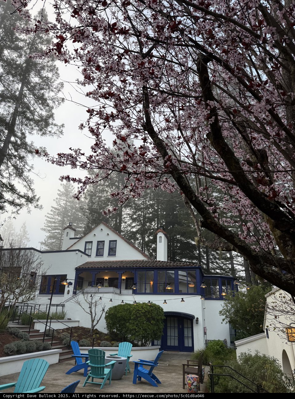 Tranquil Morning in Guerneville