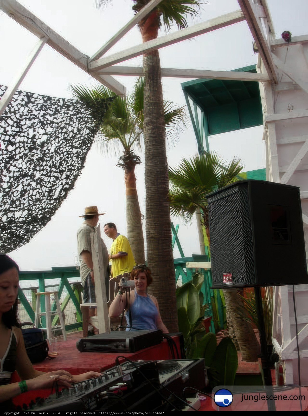 Musician Performs Under the Palm Trees