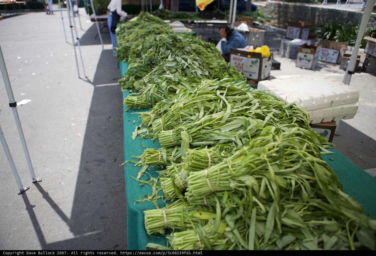 Greens Galore at the Outdoor Market