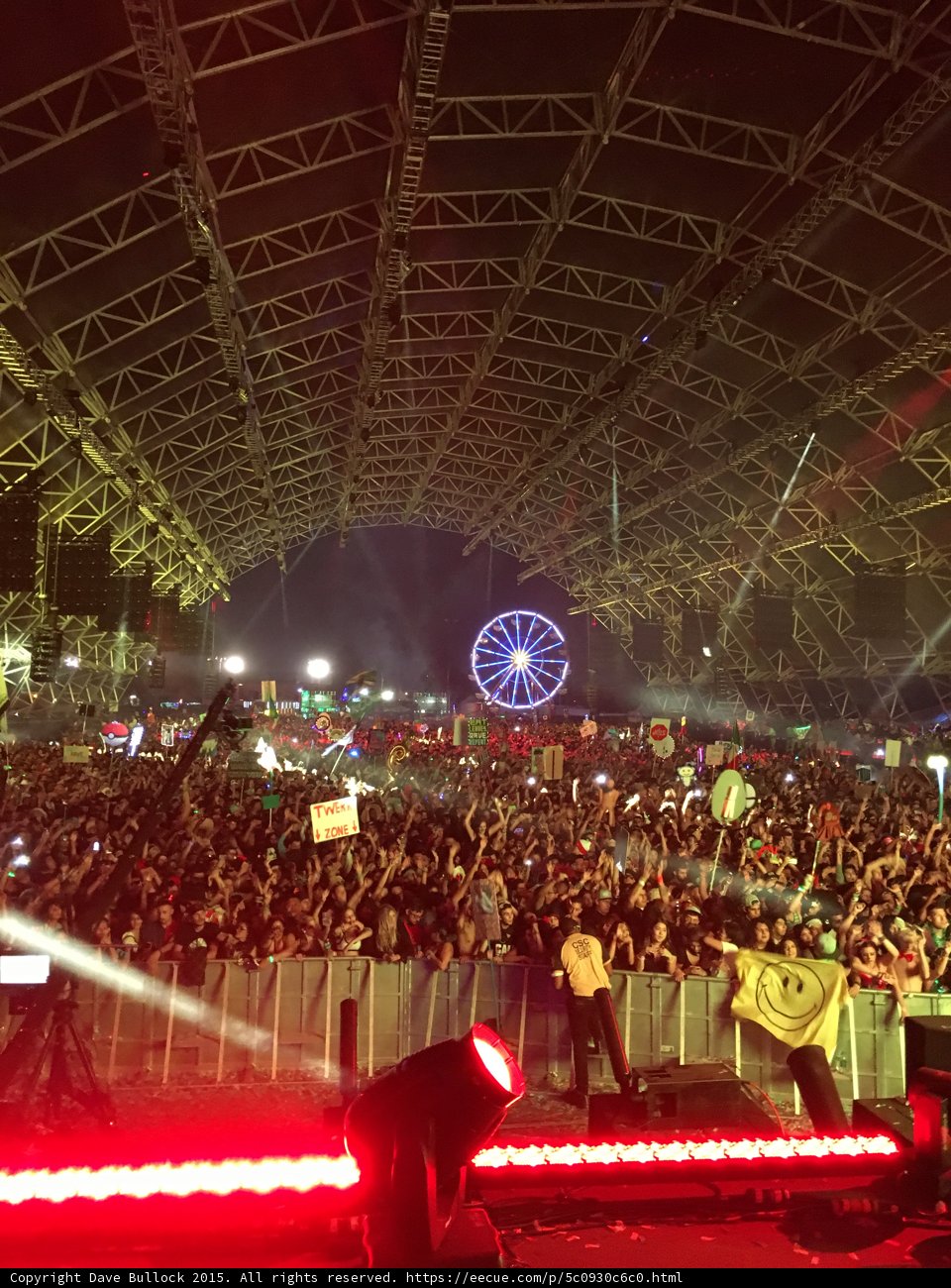 Ferris Wheel and Rockin' Crowd