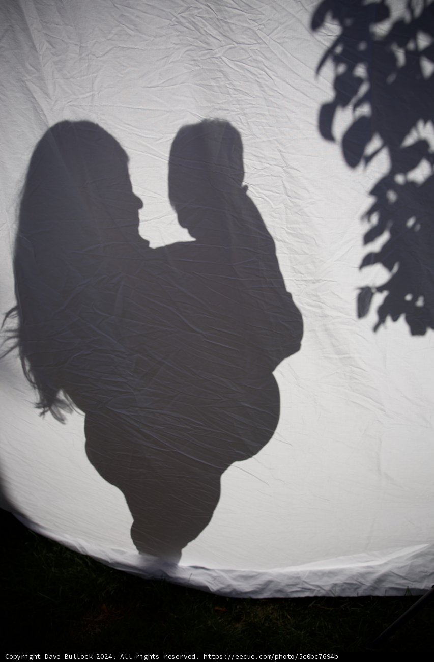 Silhouetted Beginnings