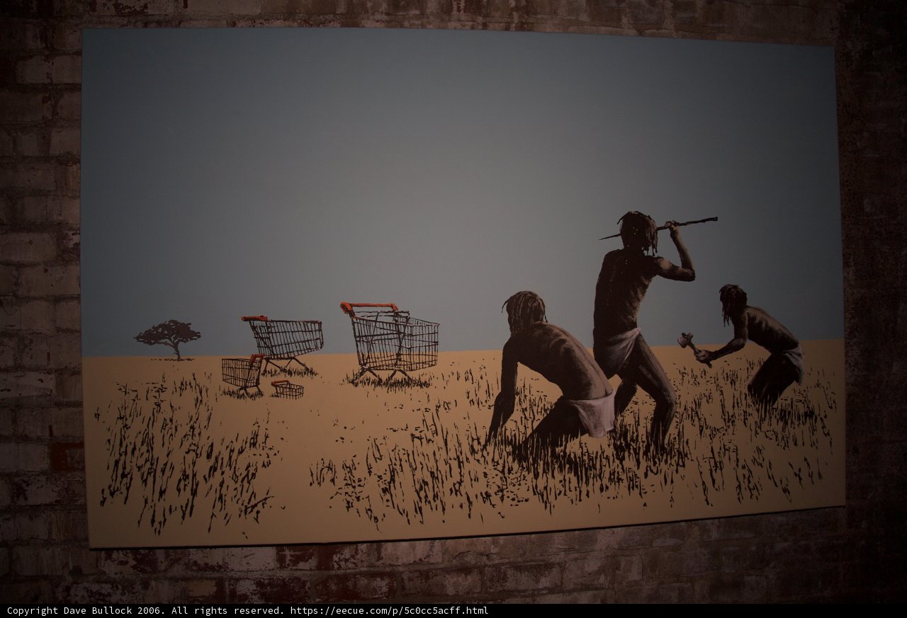 Field of Shopping Carts
