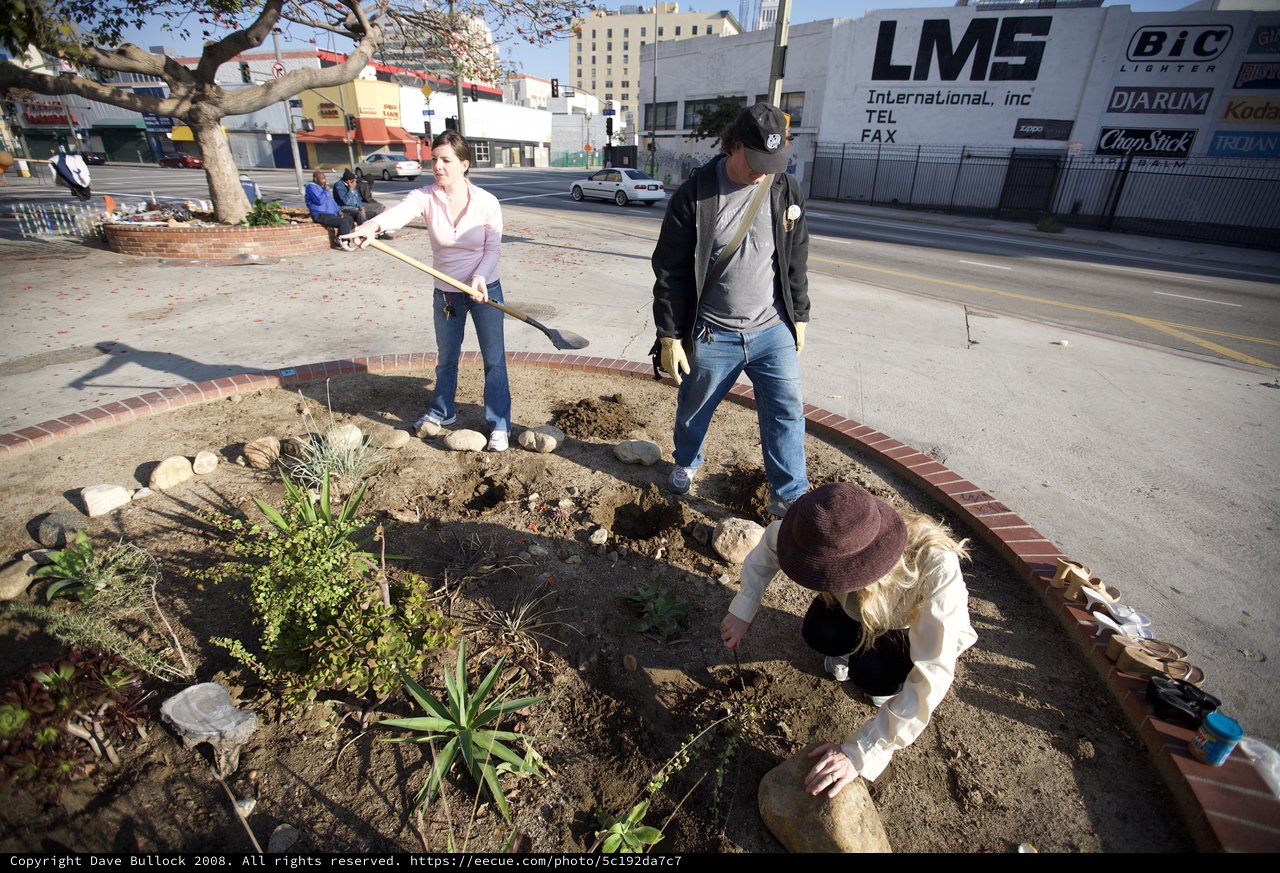 Community Volunteers Transform Urban Median Into Garden