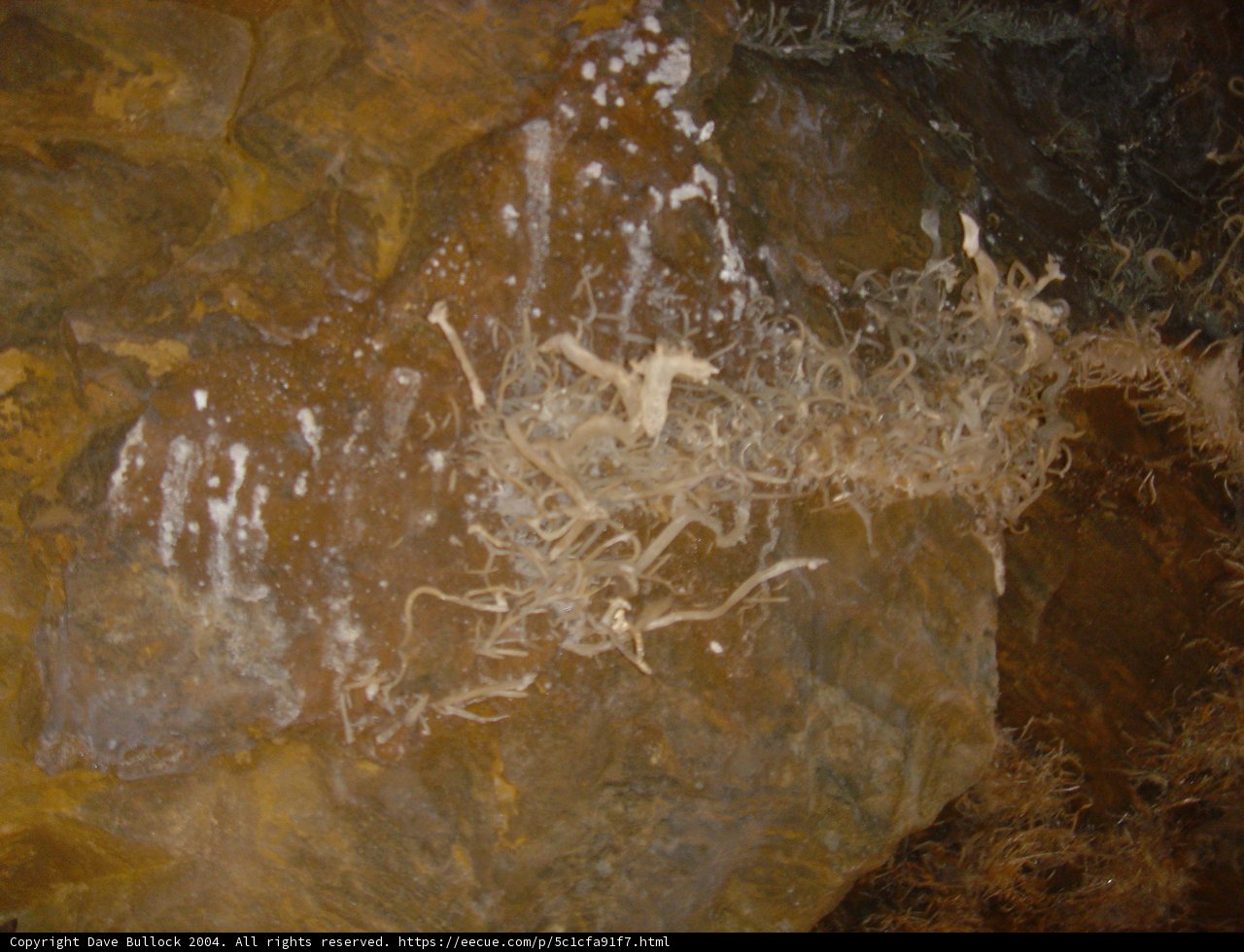 Stained Rock in Cave