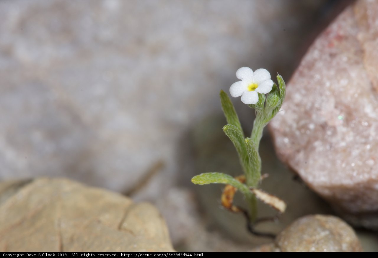 Resilience in the Rocks
