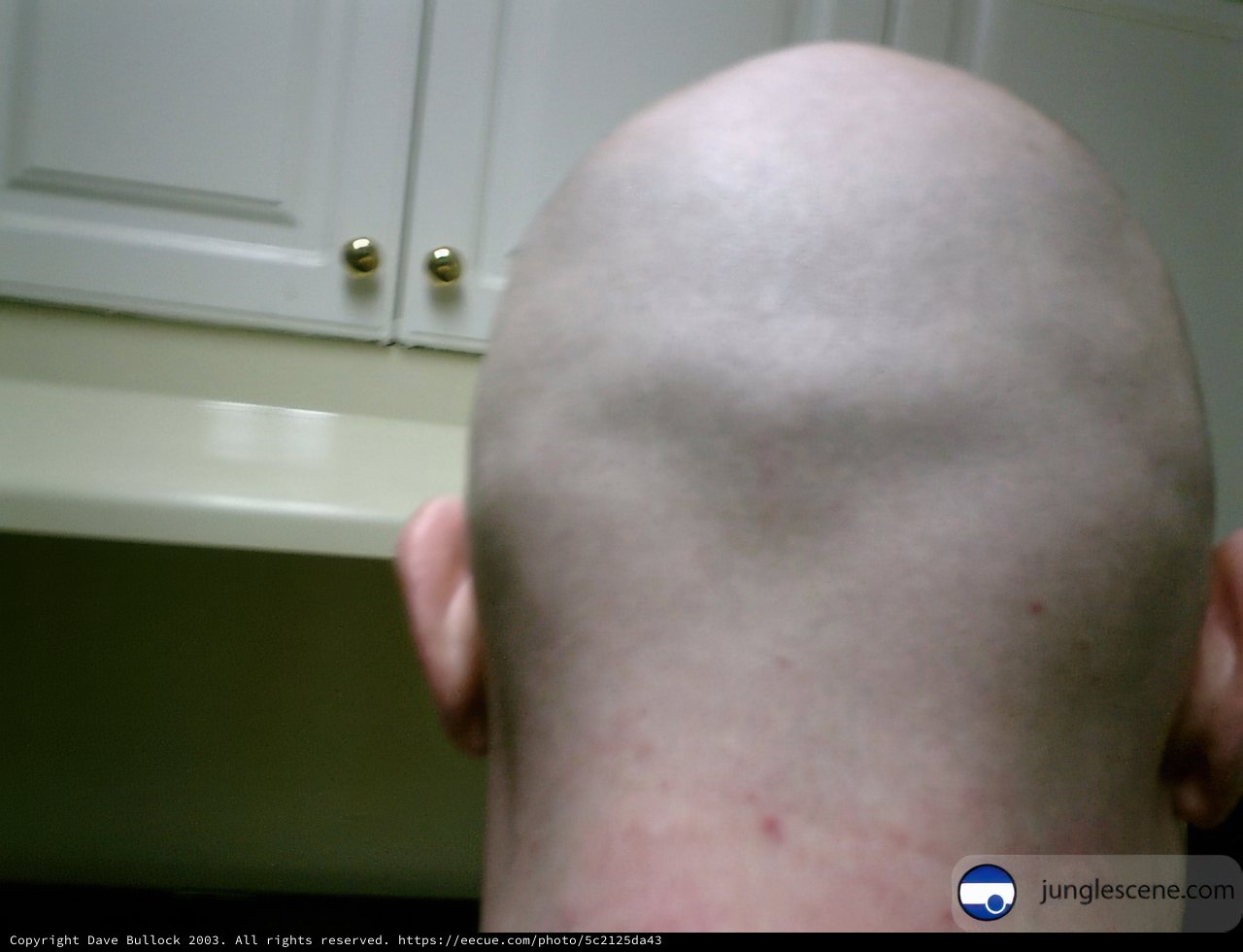 Cooking with a Shaved Head