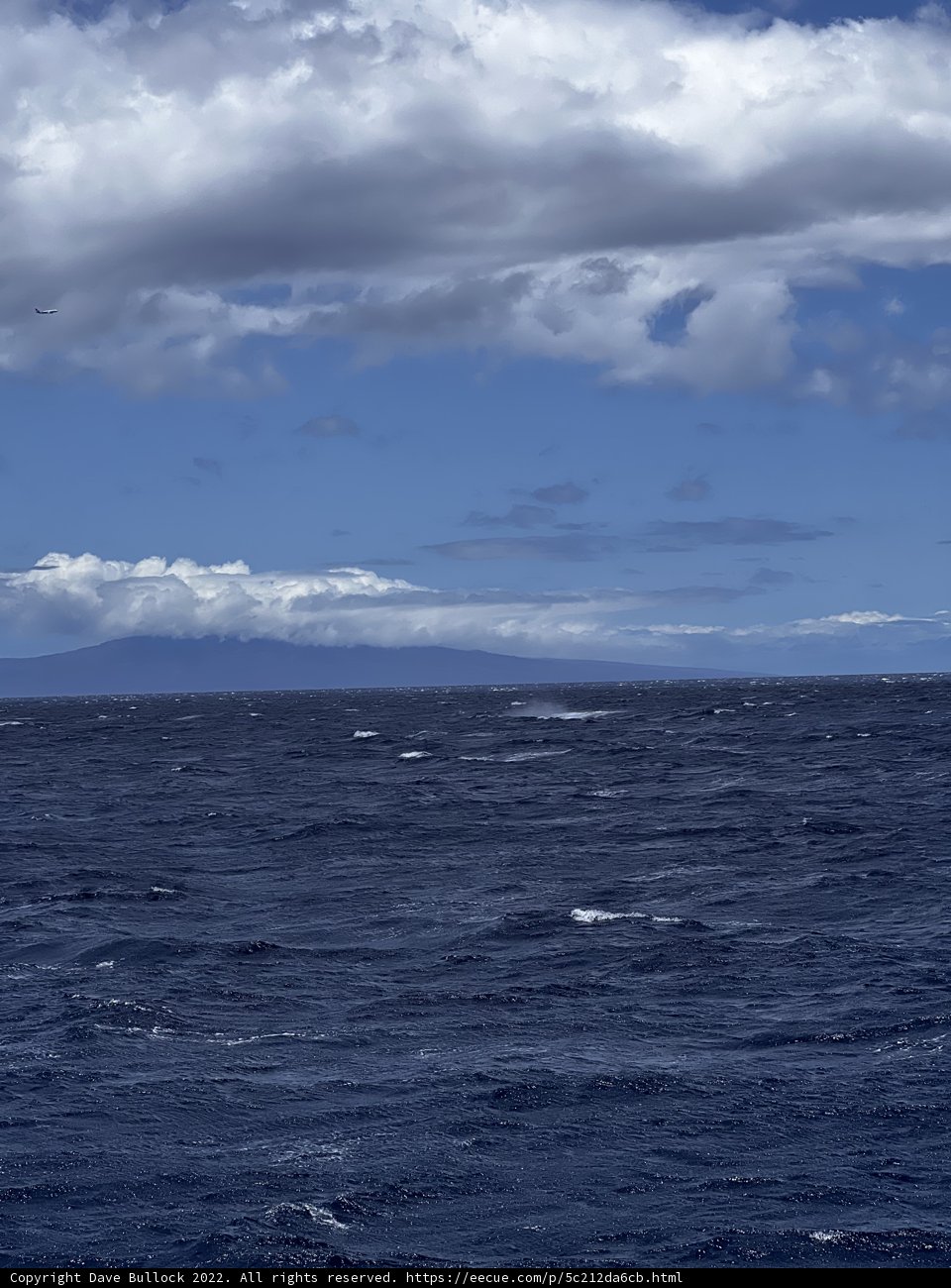 Serenity in Hawai'i