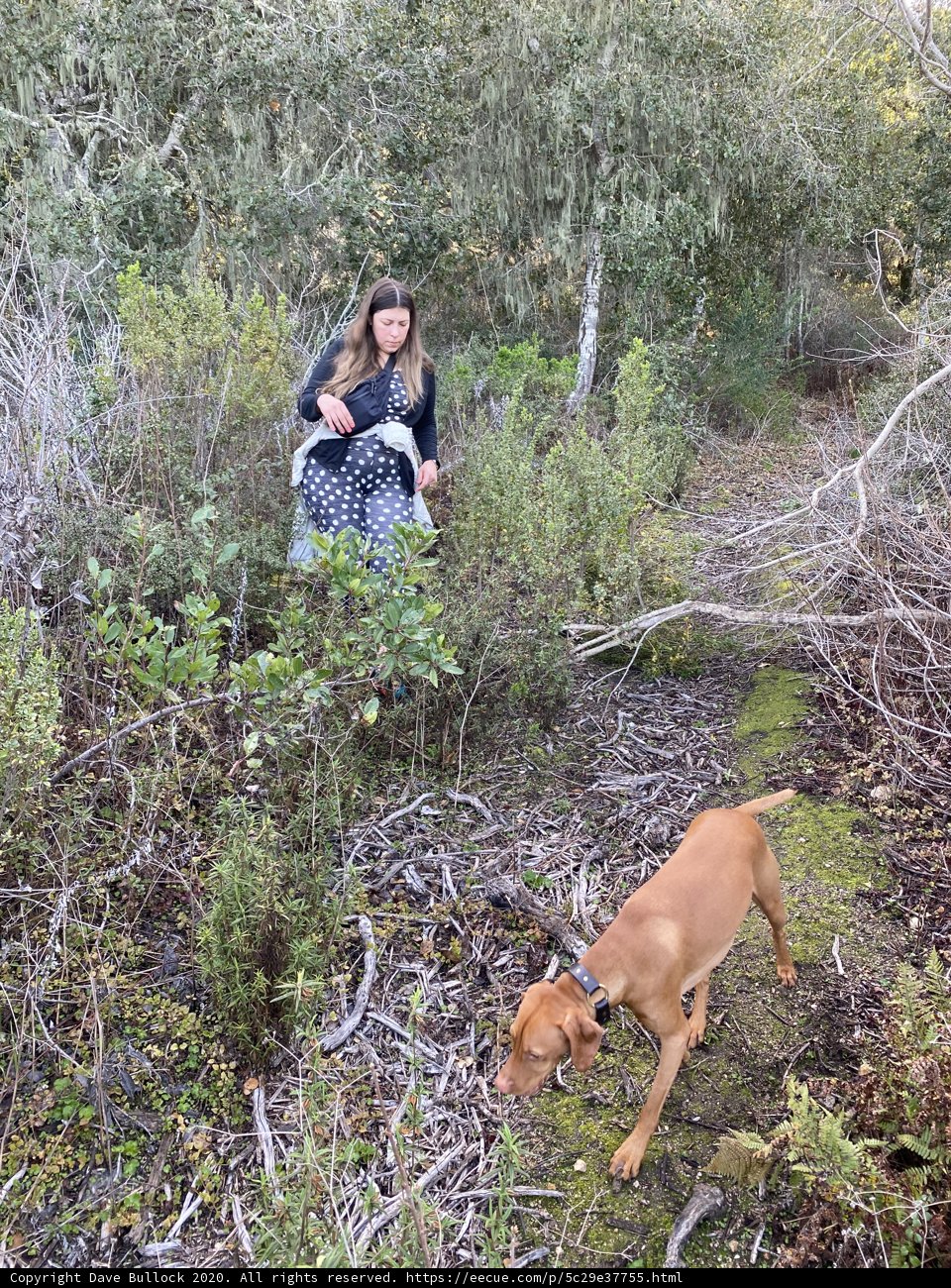 Into the Wilderness